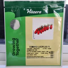Tomato luciplus