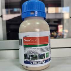 closer insecticide